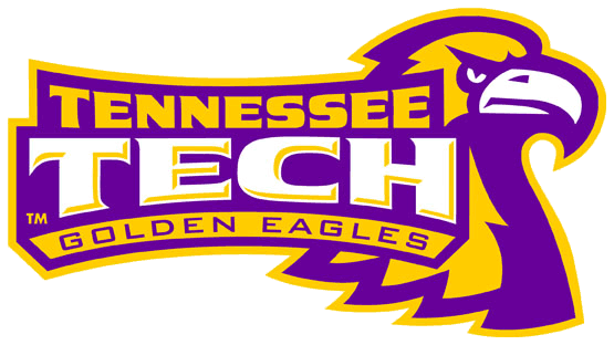 Tennessee Tech Golden Eagles 2006-Pres Alternate Logo t shirts DIY iron ons v3